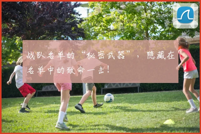 战队名单的“秘密武器”,隐藏在名单中的致命一击!